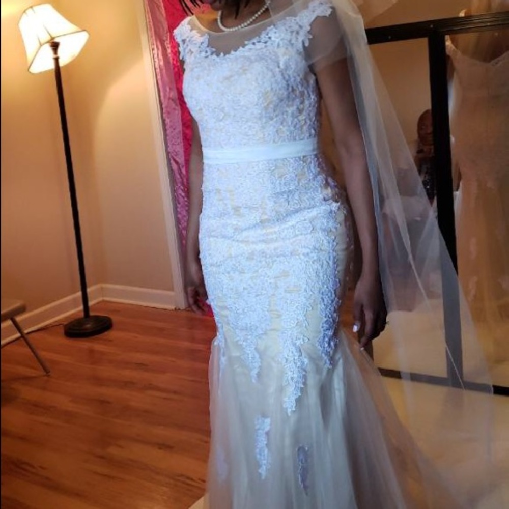 Tulle and Lace Wedding Gown